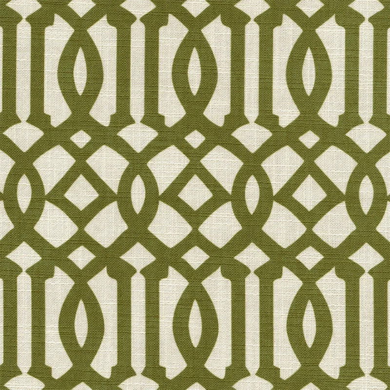 COTTON ASTER PLUS