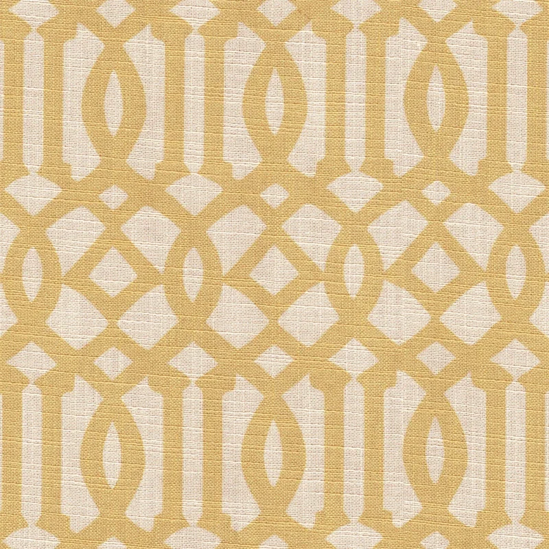 COTTON ASTER PLUS