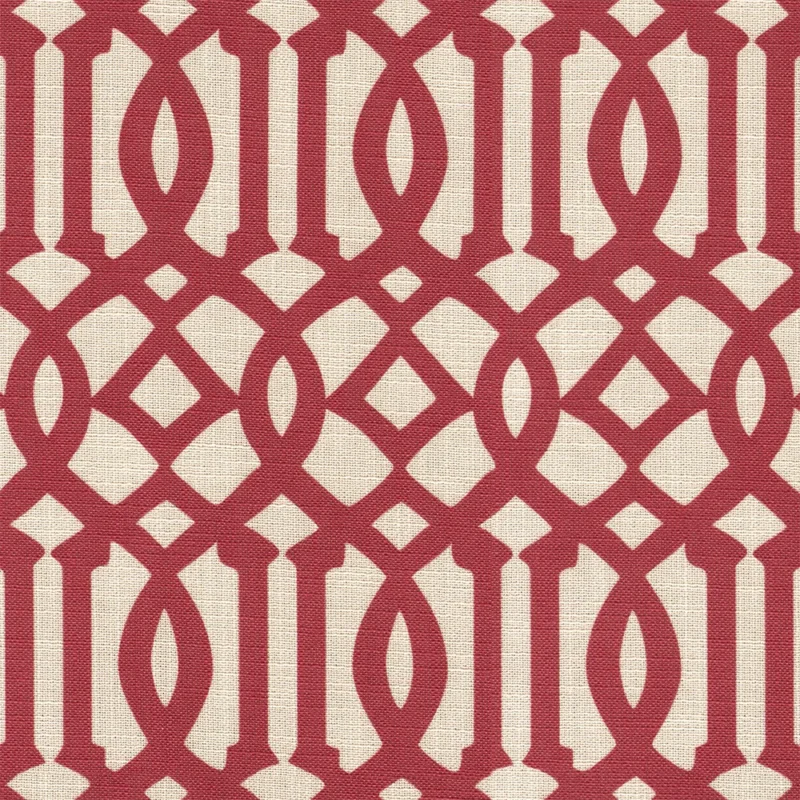 COTTON ASTER PLUS