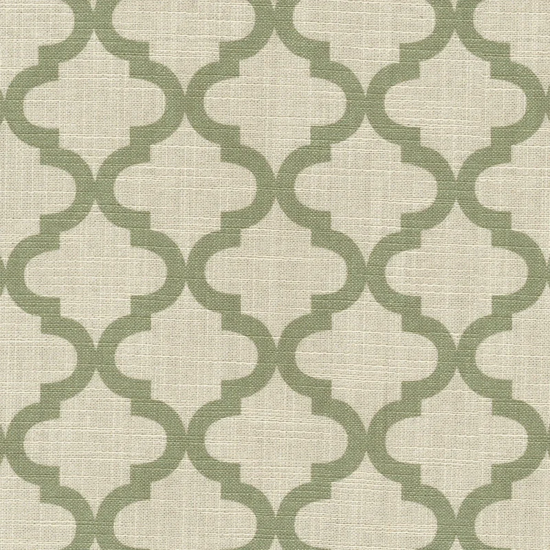 COTTON ASTER PLUS