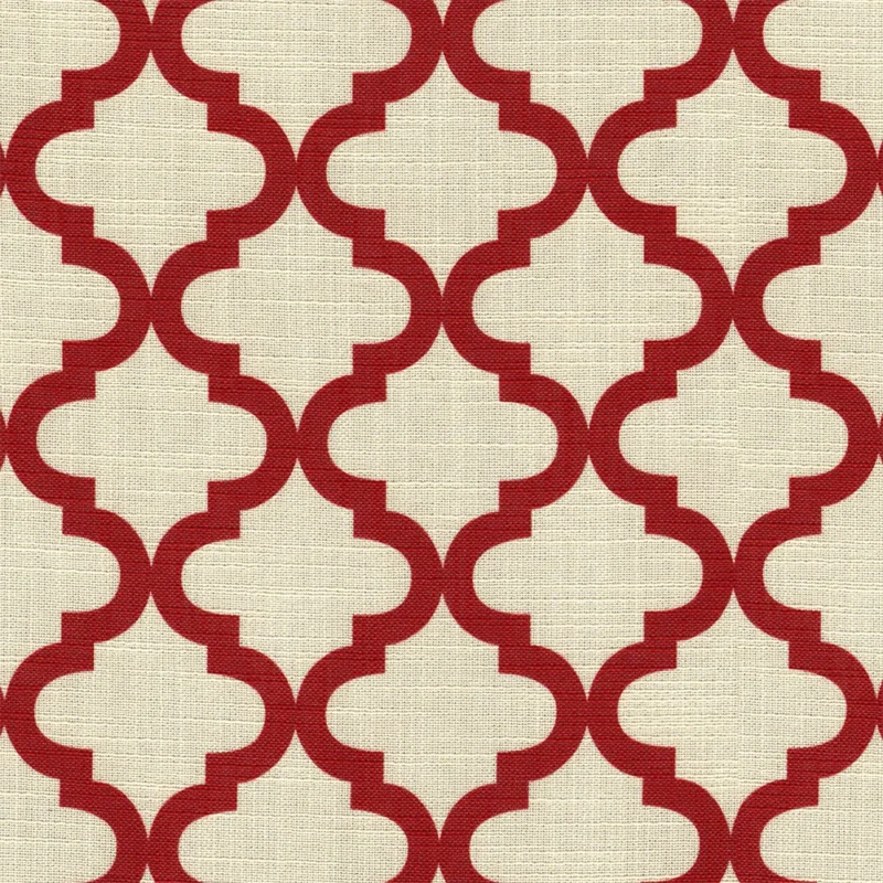 COTTON ASTER PLUS