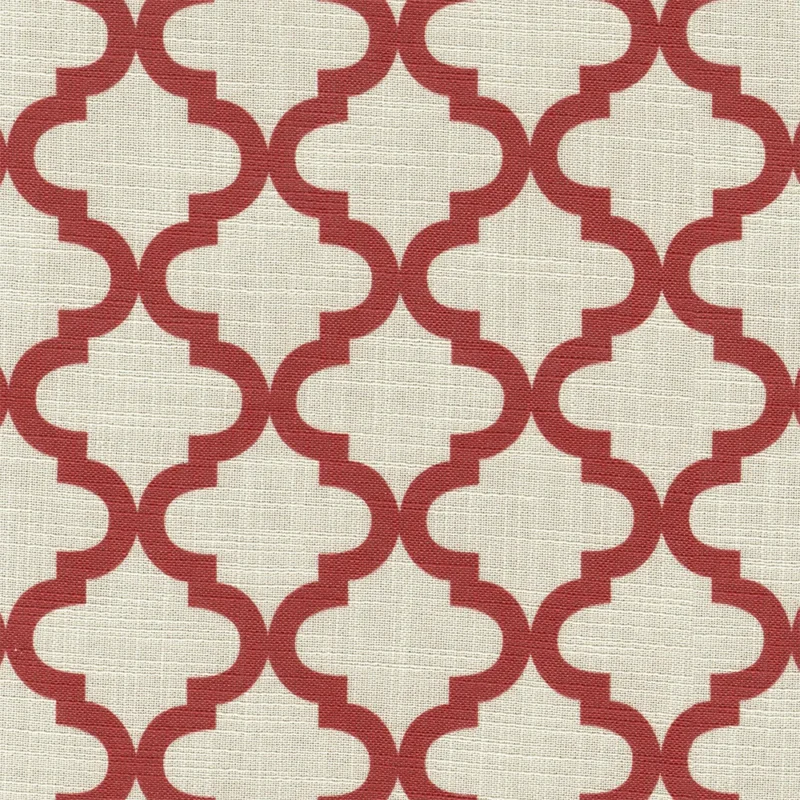 COTTON ASTER PLUS
