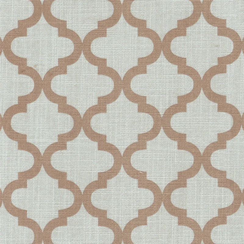 COTTON ASTER PLUS