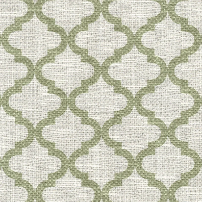 COTTON ASTER PLUS