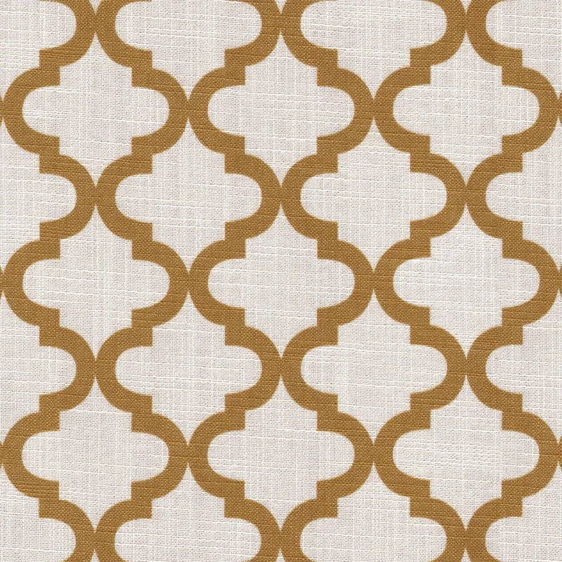 COTTON ASTER PLUS