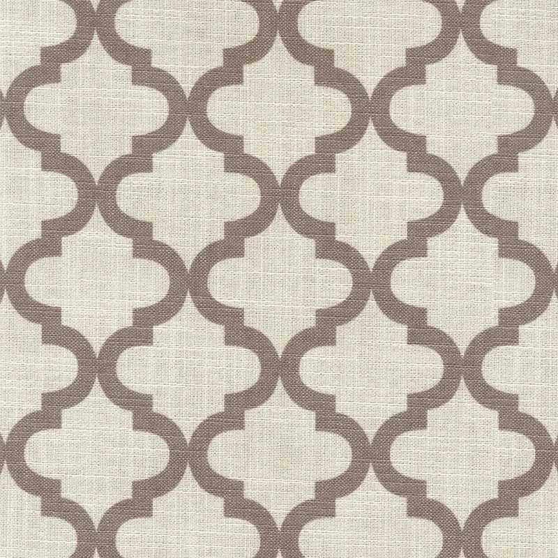 COTTON ASTER PLUS