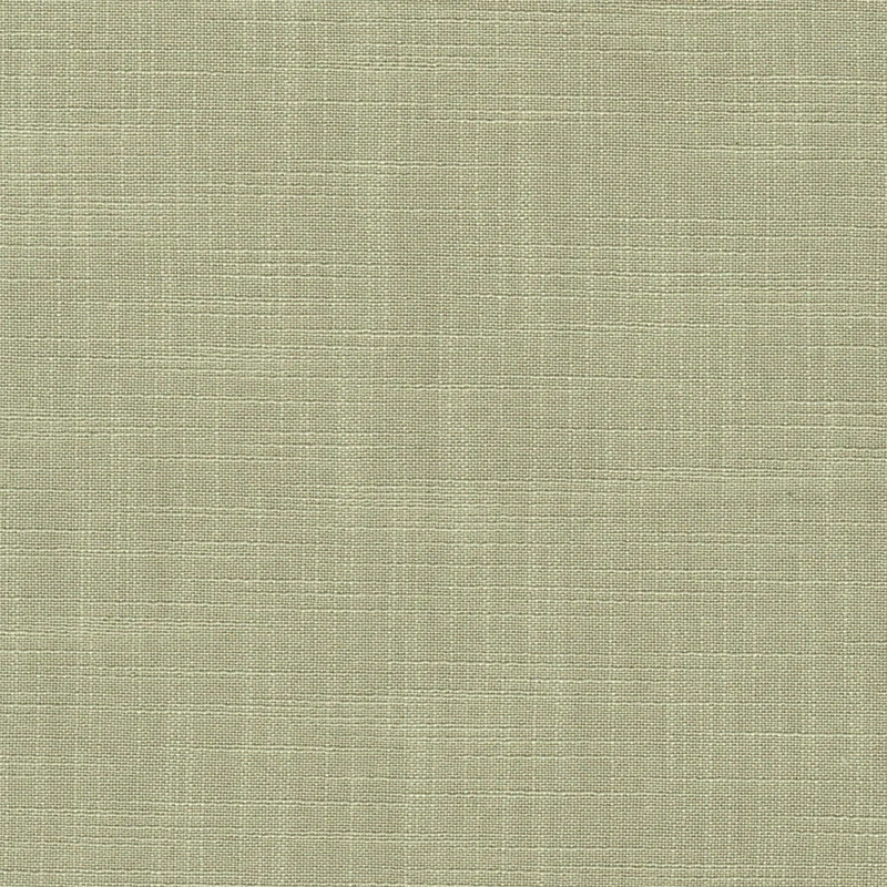 COTTON ASTER PLUS