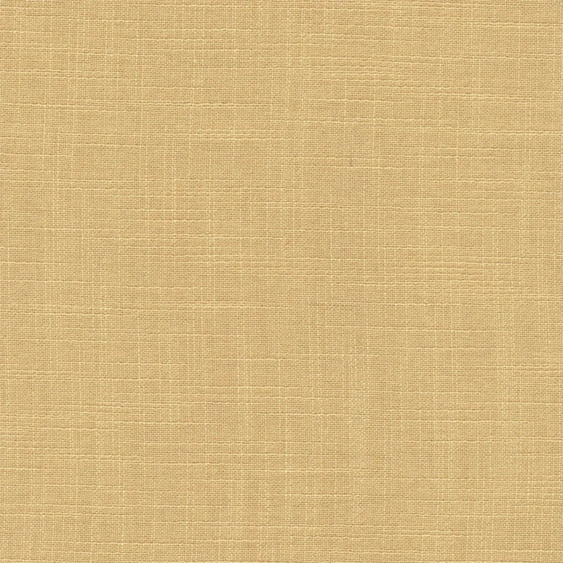 COTTON ASTER PLUS
