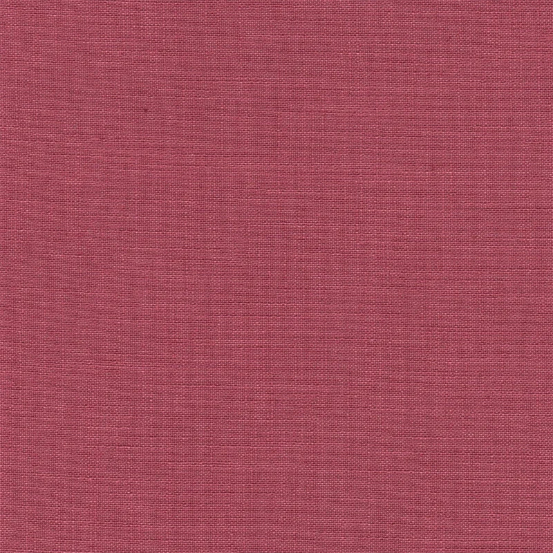 COTTON ASTER PLUS