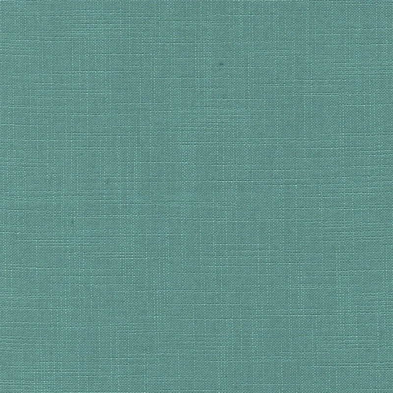 COTTON ASTER PLUS