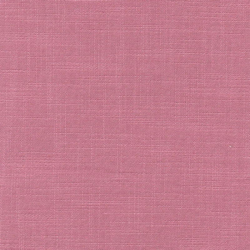 COTTON ASTER PLUS