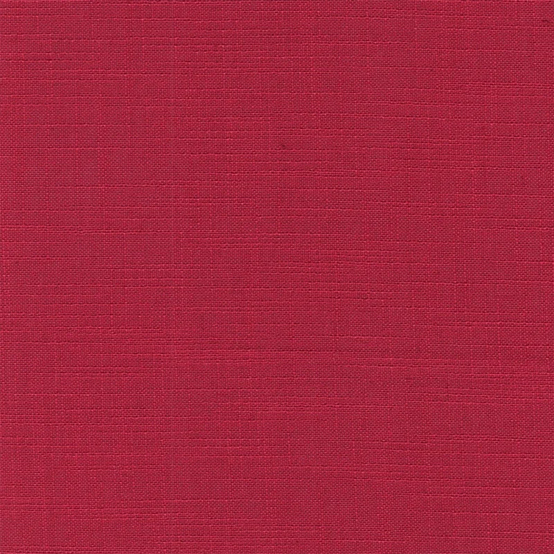 COTTON ASTER PLUS