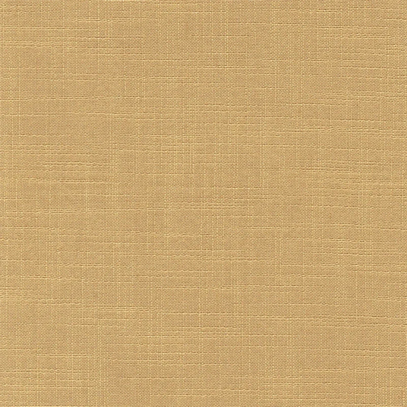 COTTON ASTER PLUS