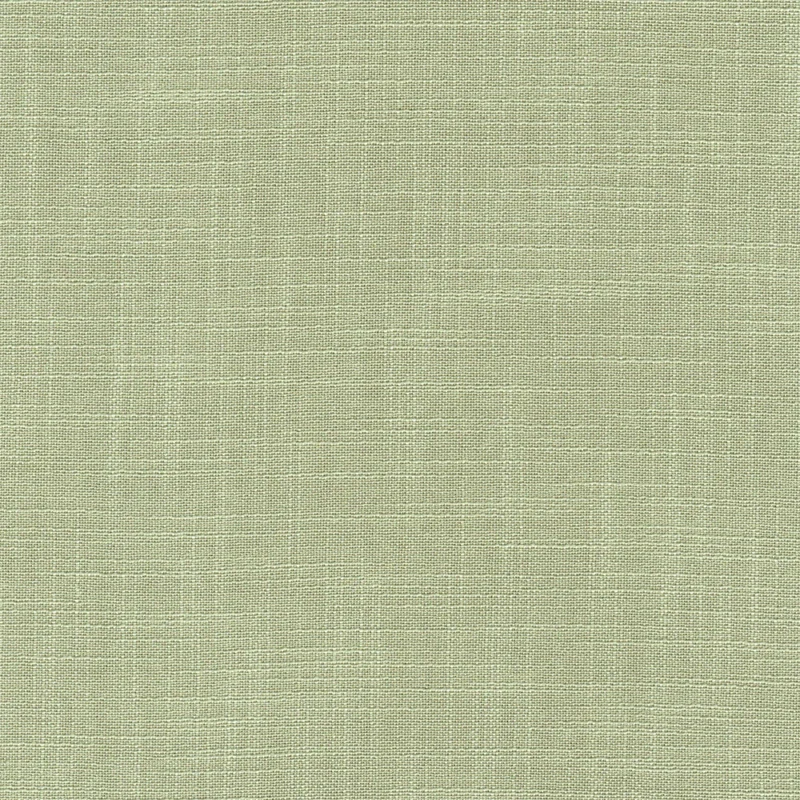 COTTON ASTER PLUS