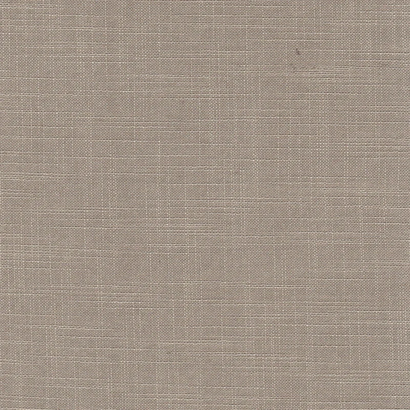 COTTON ASTER PLUS