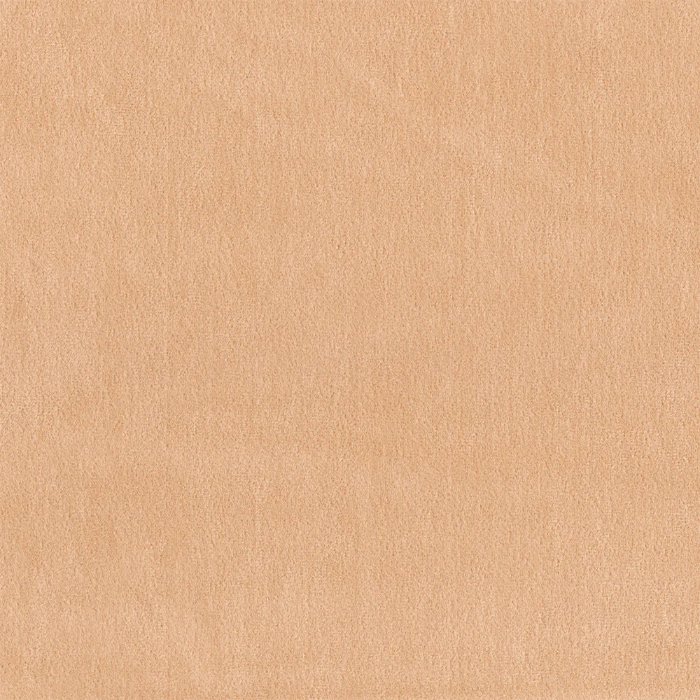 5055010019