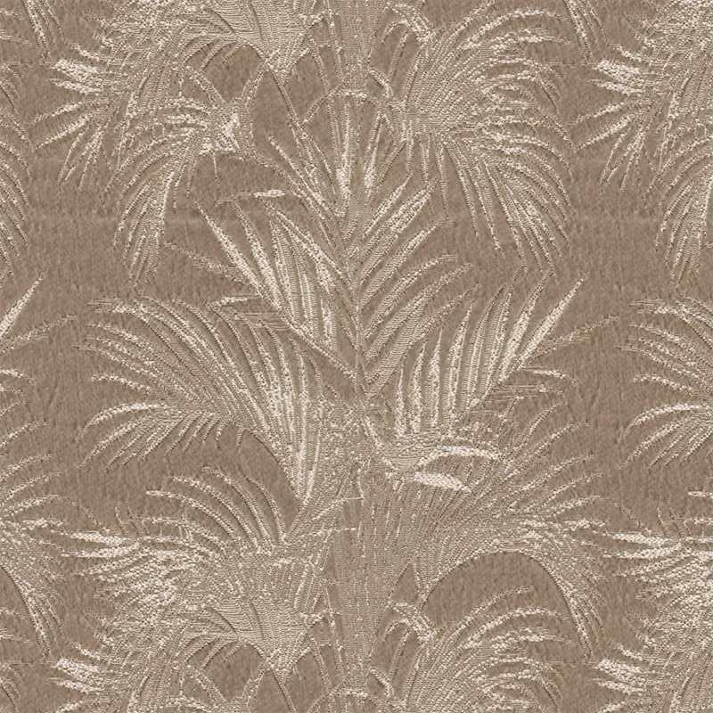 JAC. CICELY PLUS