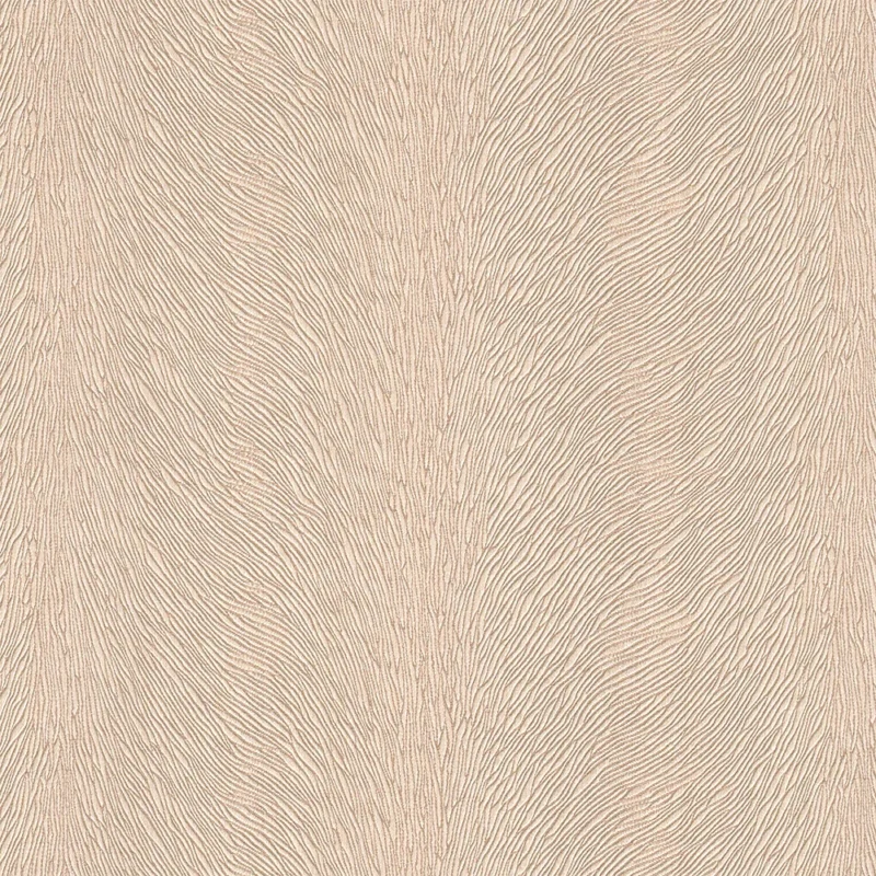 JAC. PARCHMENT W/R