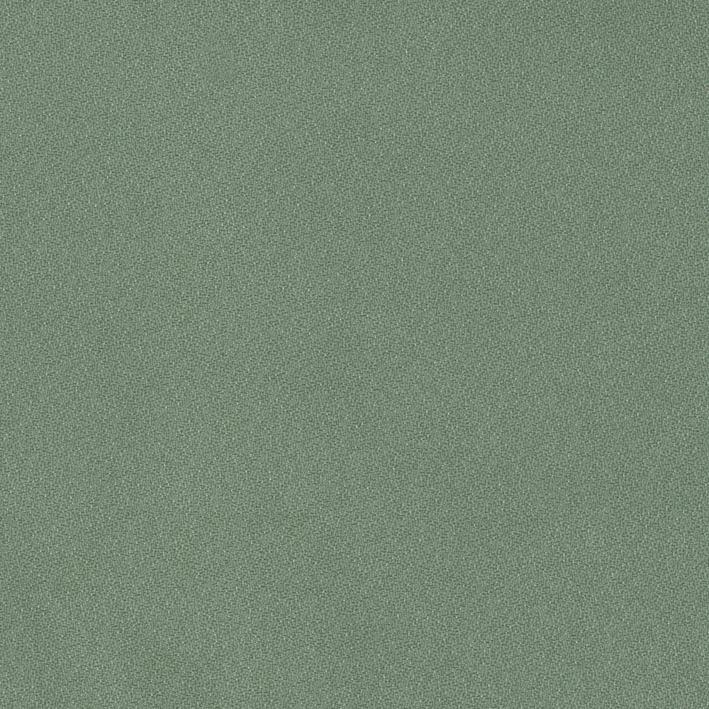 5265010018